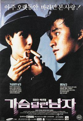 网站av免费 - 阿甘正传 人生巧克力
